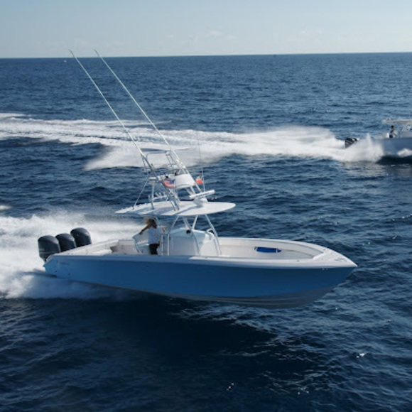 Meet your Posher, Taylor - Picture 1 of 1